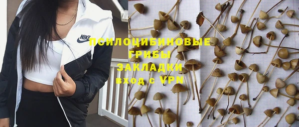бутират Снежногорск