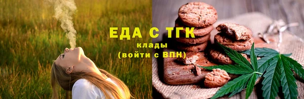 ГАЛЛЮЦИНОГЕННЫЕ ГРИБЫ Аркадак